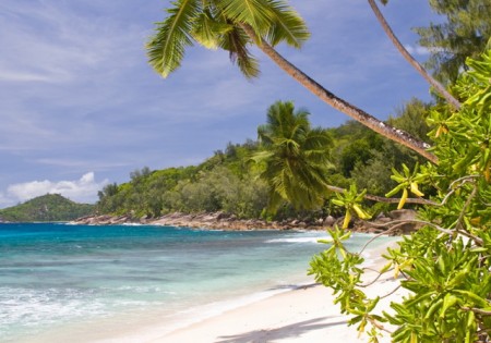 seychelles2.jpg